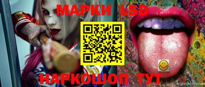 СК Ирбит