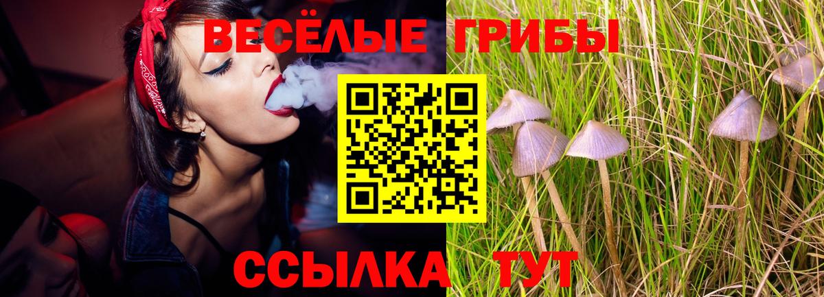 Кунгур  Псилоцибиновые грибы Magic Shrooms  Вход с VPN  Галлюциногенные грибы MAGIC MUSHROOMS 
